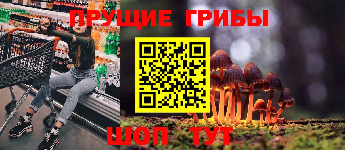 Галлюциногенные грибы Psilocybe Кувандык