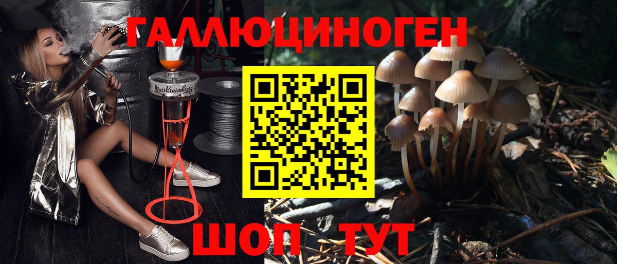 Псилоцибиновые грибы Psilocybine cubensis  Вход с VPN  Кувандык 